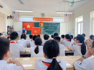 Đại hội chi đội mẫu tại Liên đội tiểu học Văn Yên.